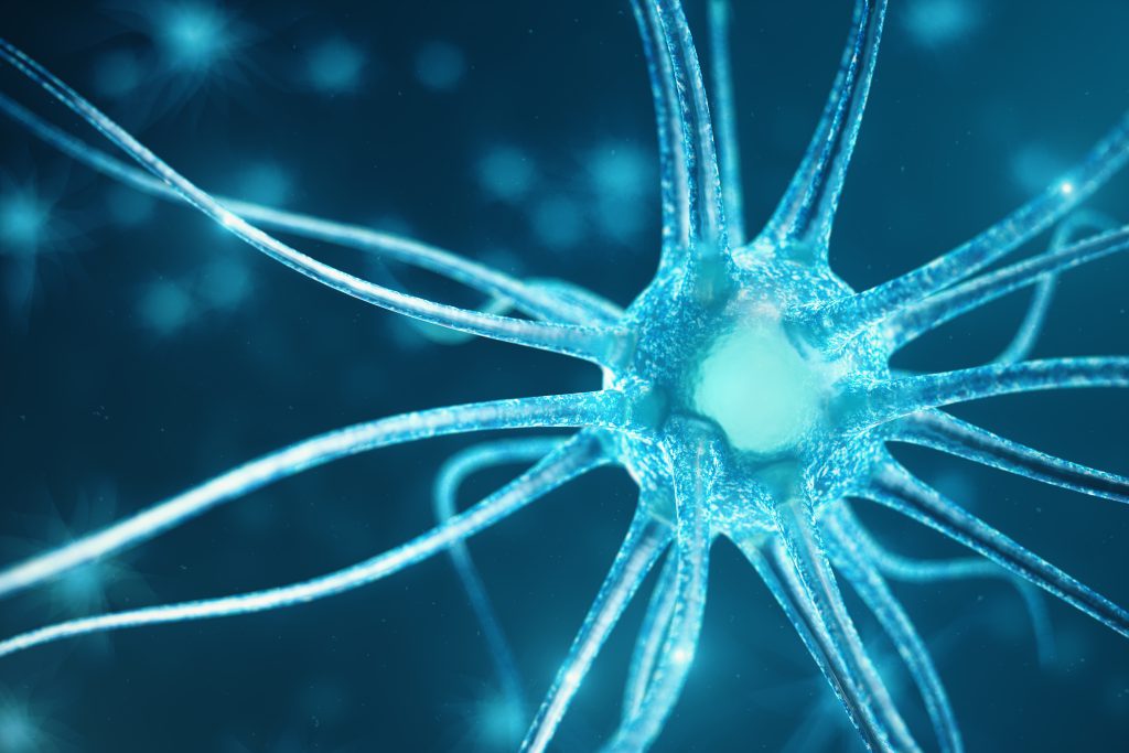New Brain Cells Grow Neurogenesis Depression Memory Diet Exercise New Brain Cells Grow Neurogenesis Depression Memory Diet Exercise